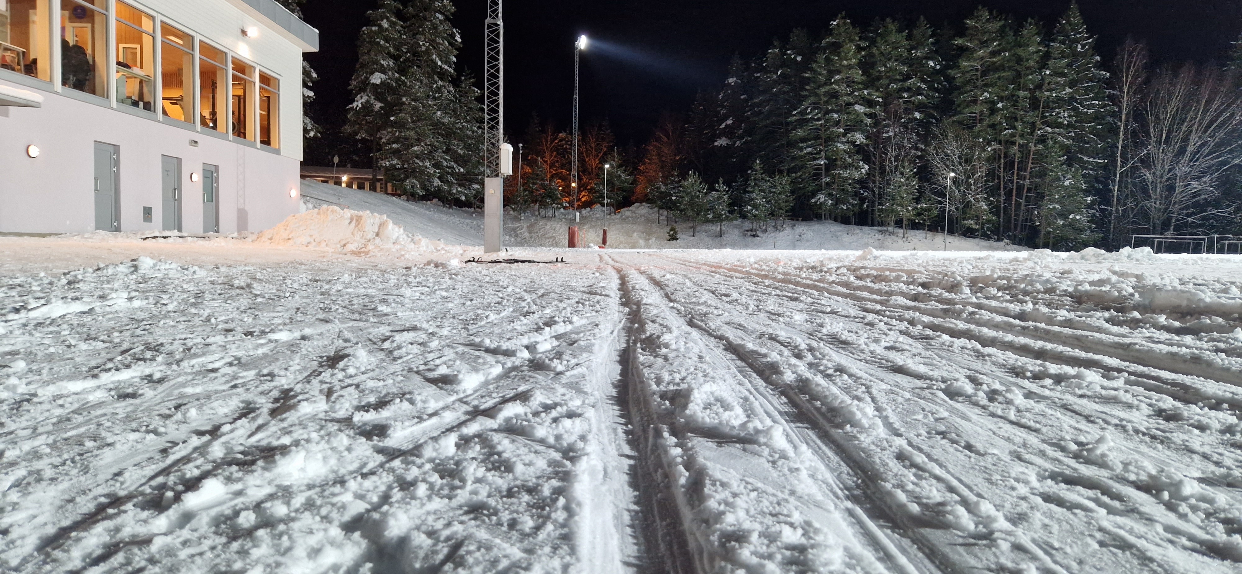 Massevis av skispor!